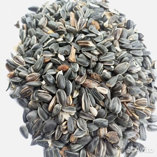 Семечки подсолнечника