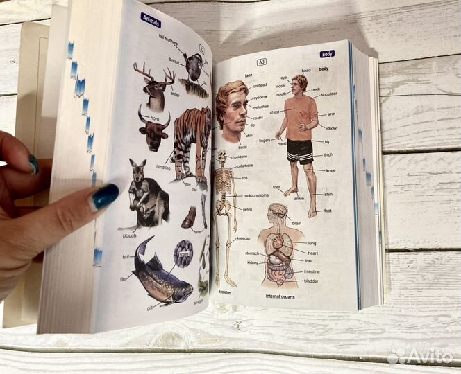 Longman Active Study Dictionary