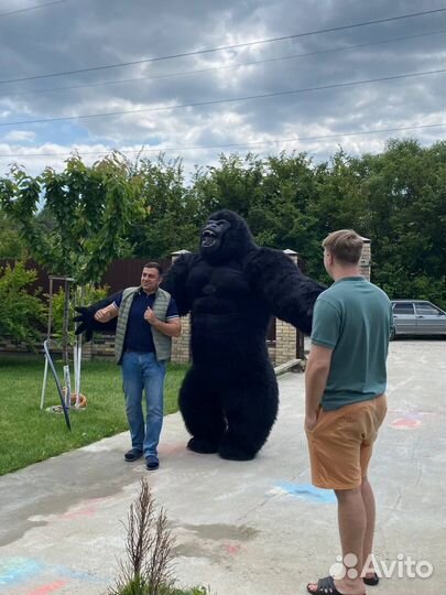 Аниматор Белый мишка, Чебурашка, Горилла