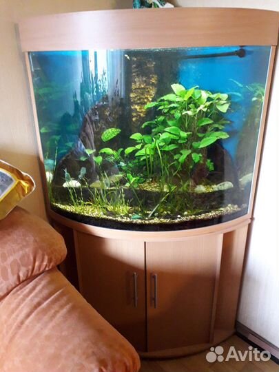 Аквариум/Обслуживание/Чистка/Перевозка