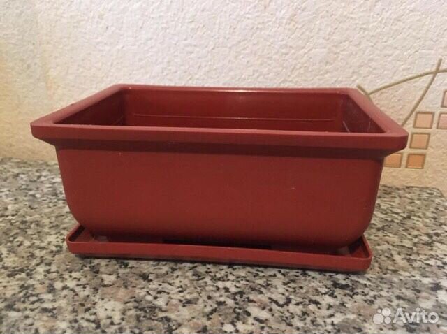 Горшок Бонсайница с поддоном