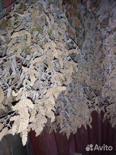 Мелисса лимонная, чабрец, душица,мята