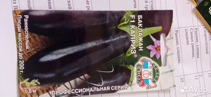 Рассада баклажан