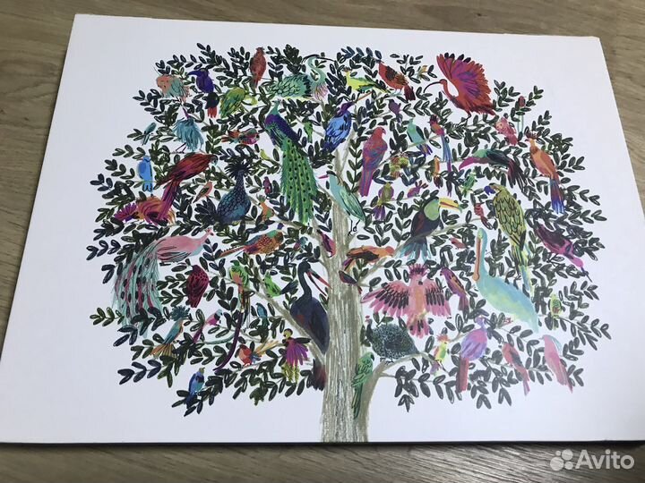 Wacom intuos pro M + bluetooth