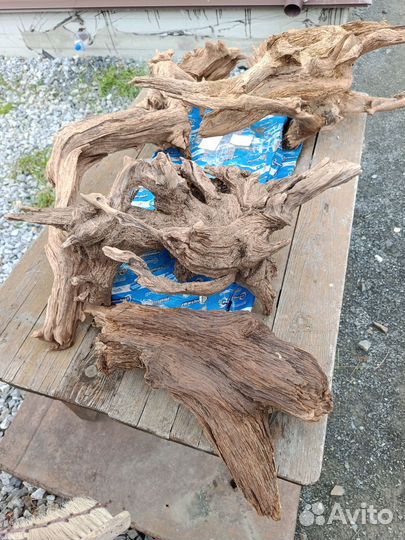 Коряги с реки Очëр не обработанные