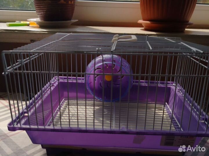 Клетка для джунгарского хомяка