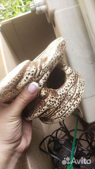 Сэт для аквариума