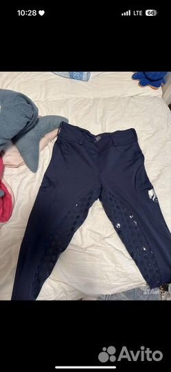 Бриджи и поло