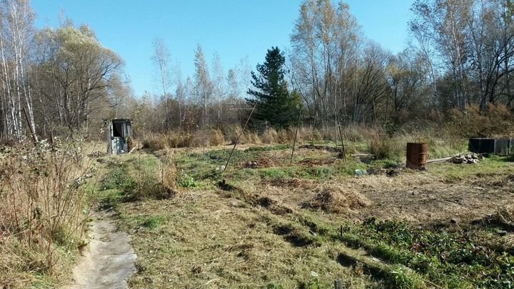 Дача 29 м² на участке 20 сот.