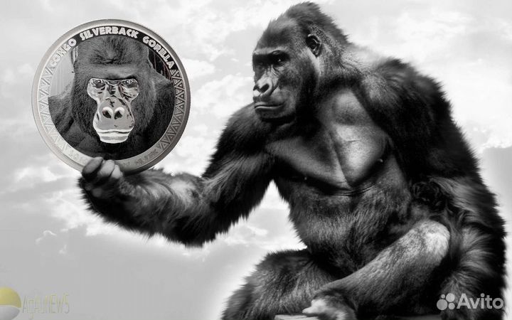 Серебряные монеты Конго Ниуэ Токелау