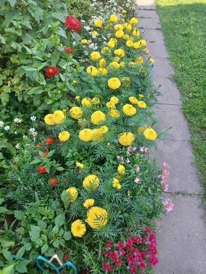 Дача 140 м² на участке 7,5 сот.