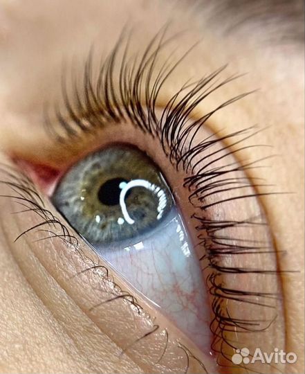 Брови ресницы