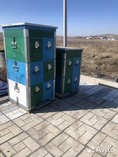 Продам ульи для пчел