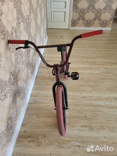 Bmx tech team grasshopper