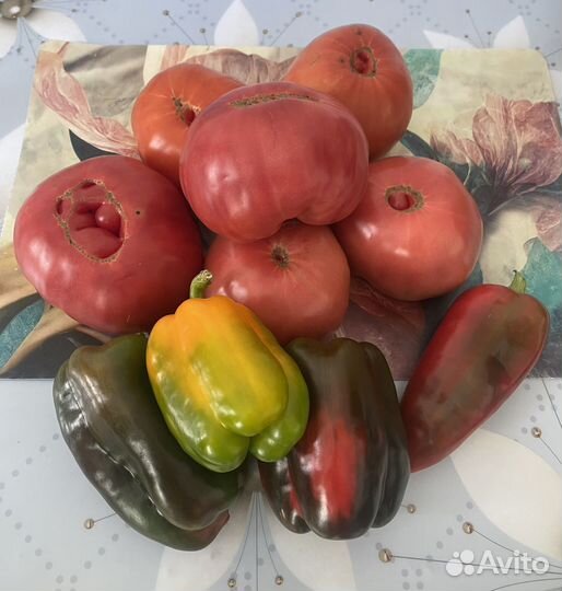 Помидоры, перец домашние (Академ, Ельцовка)