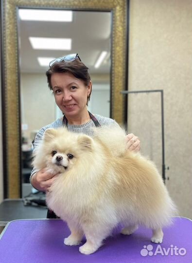 Груминг стрижка собак