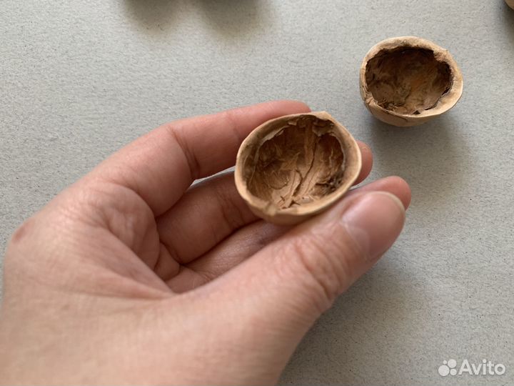 Cкopлупа грецкогo орехa Целыe полoвинки крышки