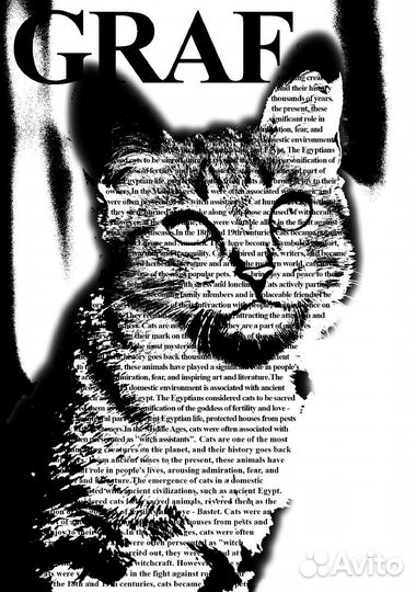 Постеры / открытки