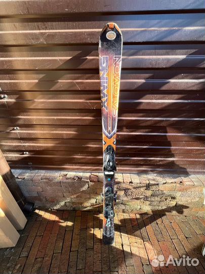 Горные лыжи