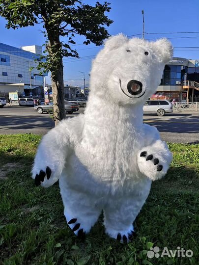 Белый мишка поздравление