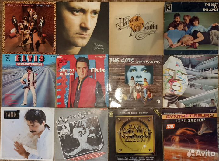 50 фирменных альбомов на виниле