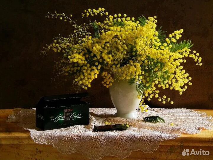 Мимозы опт Белореченск