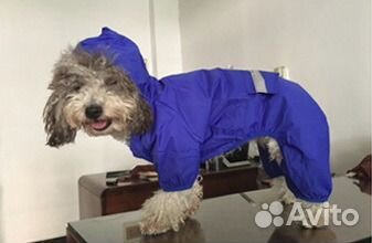 Комбинезон для собачки