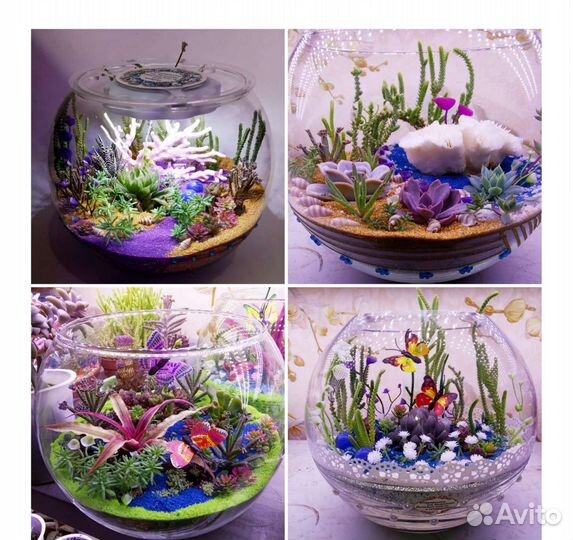 Аквариум с воздухом вместо воды