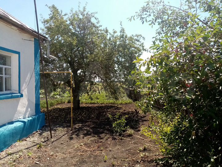 Дом 47 м² на участке 10 сот.