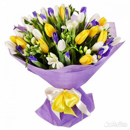 Роза 25 Роза 31 Роза 51 ароматная Роза