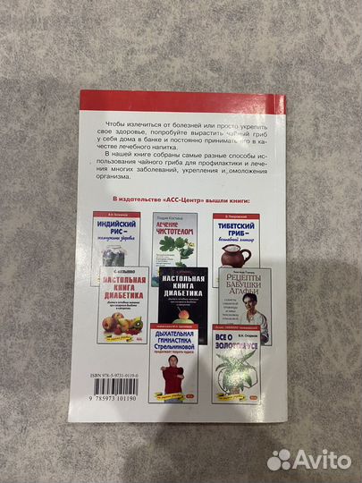 Чайный гриб