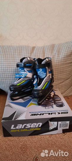 Коньки зимние