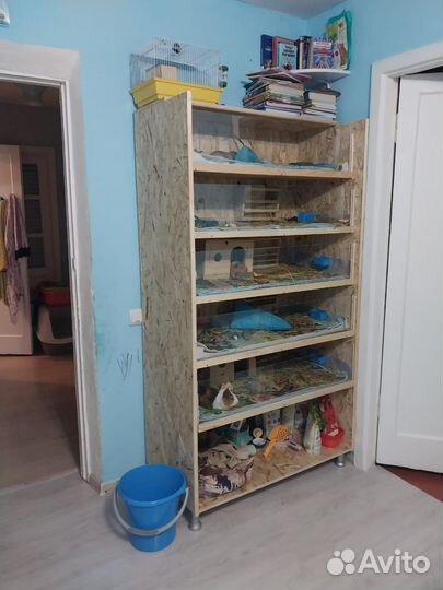Стеллаж для морских свинок