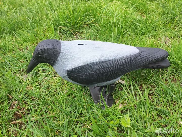 Чучело серой вороны для охоты