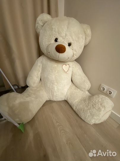 Большие плюшевые медведи