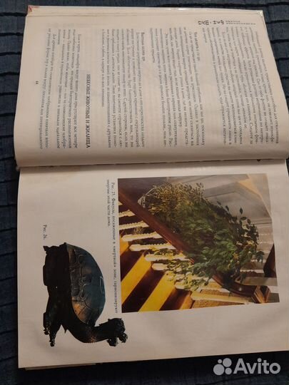 Полная энциклопедия фэн-шуй