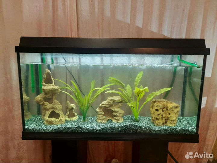 Аквариум