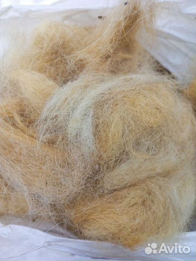 Собачий пух