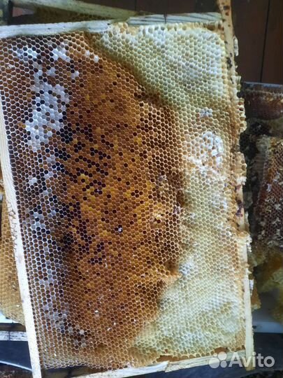 Сушь для пчел