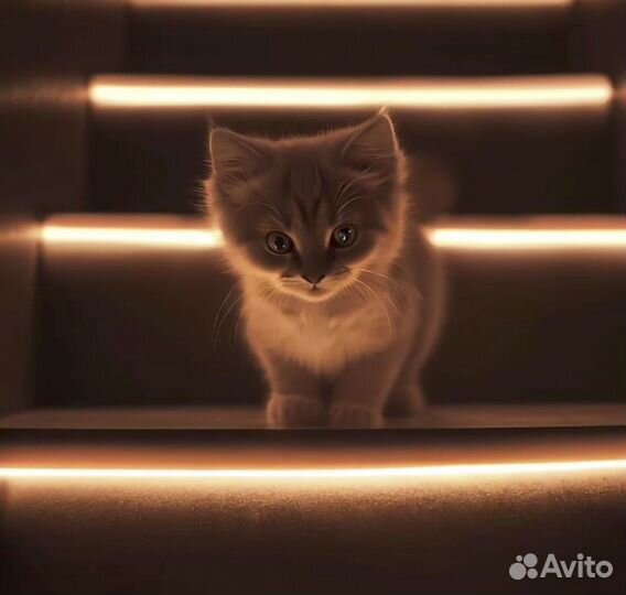 Подсветка лестницы с датчиками движения