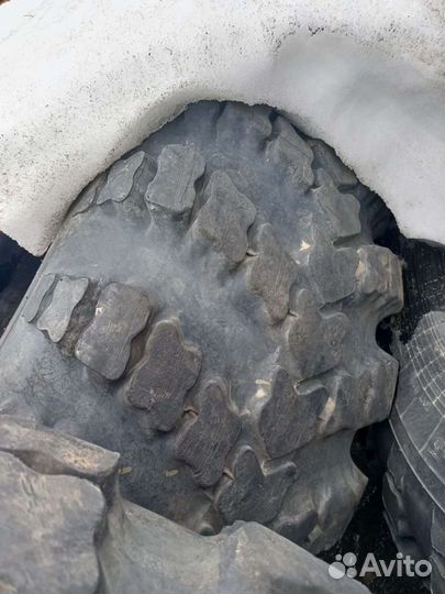 R21 530/70 (1300х530-533) 2шт