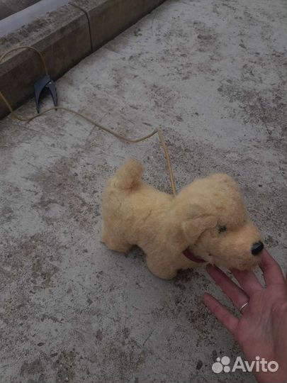 Игрушка собачка механическая СССР