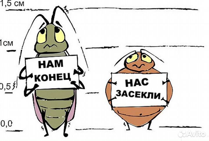 Средство от тараканов Тиурам class