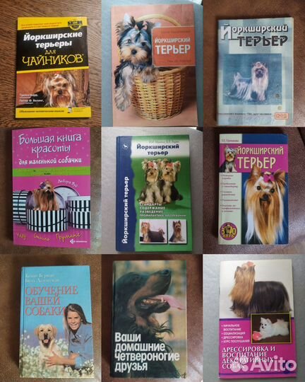 Книги о животных, птицах, насекомых