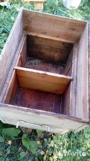 Пчелы с ульями