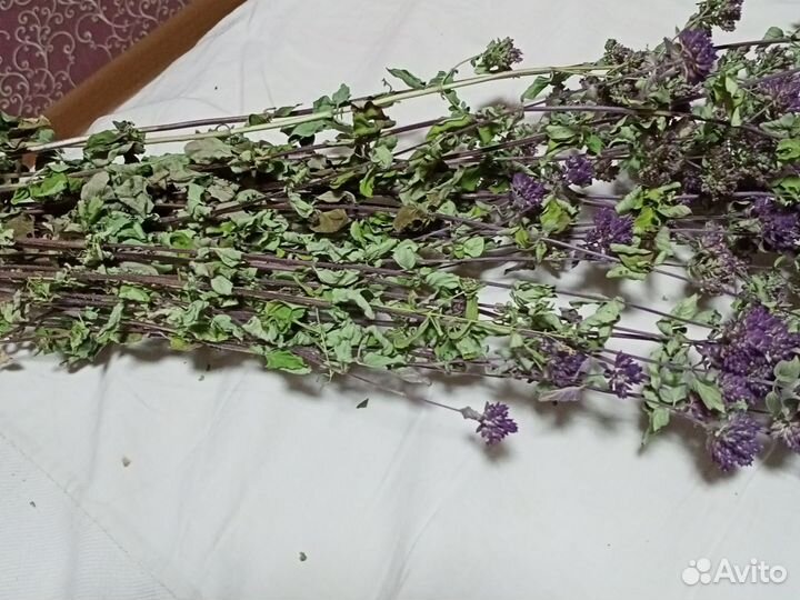 Сушеные и свежие травы. Календула и др