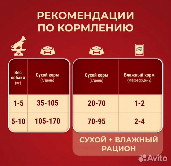 Сухой корм для собак мелких пород