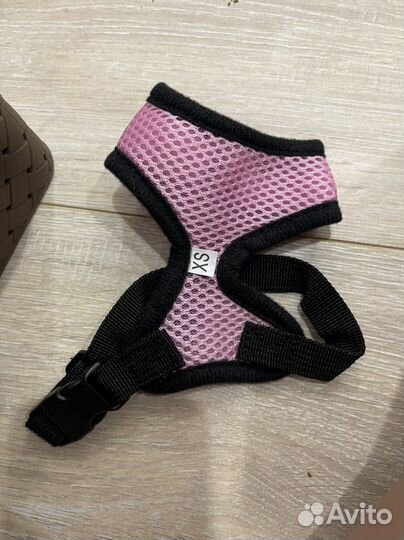 Шлейка для щенка, спрей для приучения к лотку