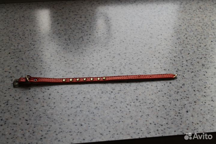 Красивый ошейник со стразами