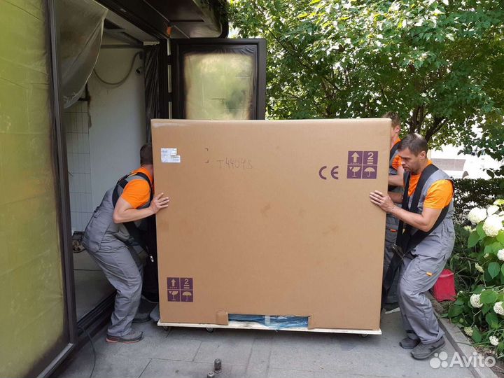 Опытные грузчики.Грузоперевозки